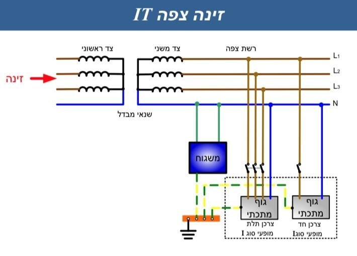 זינה צפה